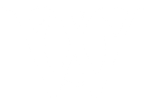 OurWave